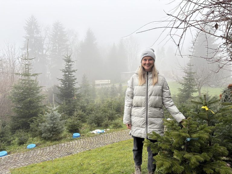 Nachhaltig feiern: Christbäume im Topf statt Wegwerfbaum