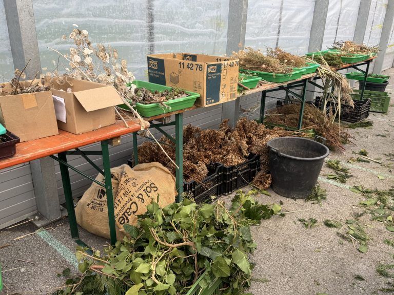 "Bei uns ist die Vielfalt sehr groß, sowohl im Betrieb als auch bei den Menschen"