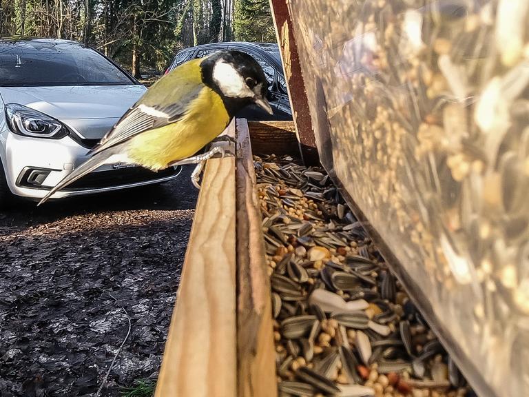 "Jede Beobachtung hilft, Trends zu erkennen"