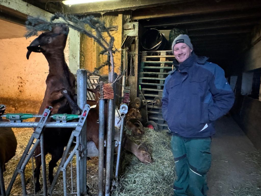 "Das sind unsere Sommerpraktikanten" – die Ziegen von Matthias zeigen dem Bauhof, wie man richtig mäht