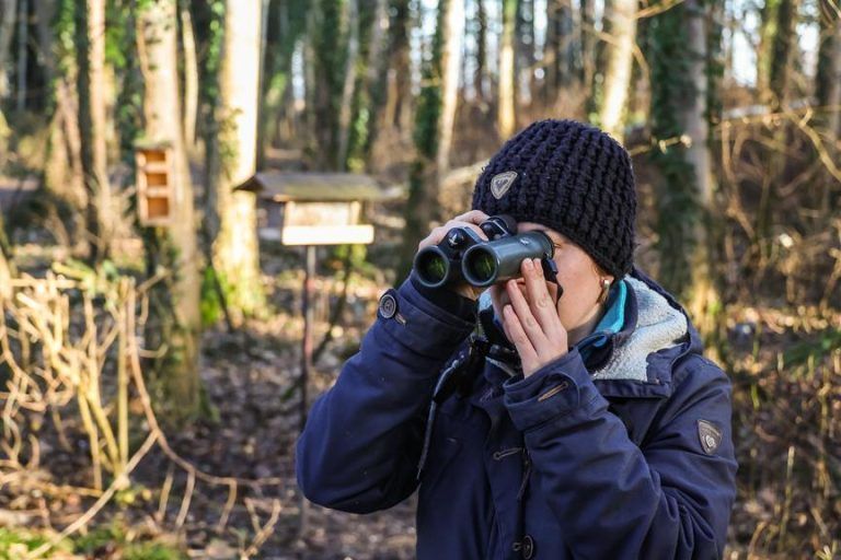 "Jede Beobachtung hilft, Trends zu erkennen"