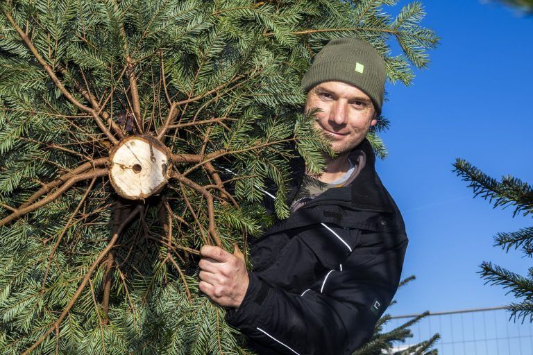 "Wer einmal eine Nordmanntanne gekauft hat, will immer eine Nordmanntanne haben"