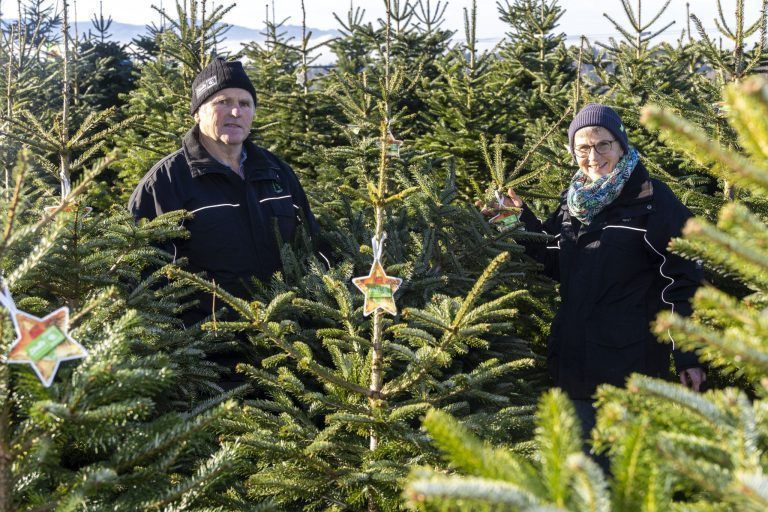 "Wer einmal eine Nordmanntanne gekauft hat, will immer eine Nordmanntanne haben"