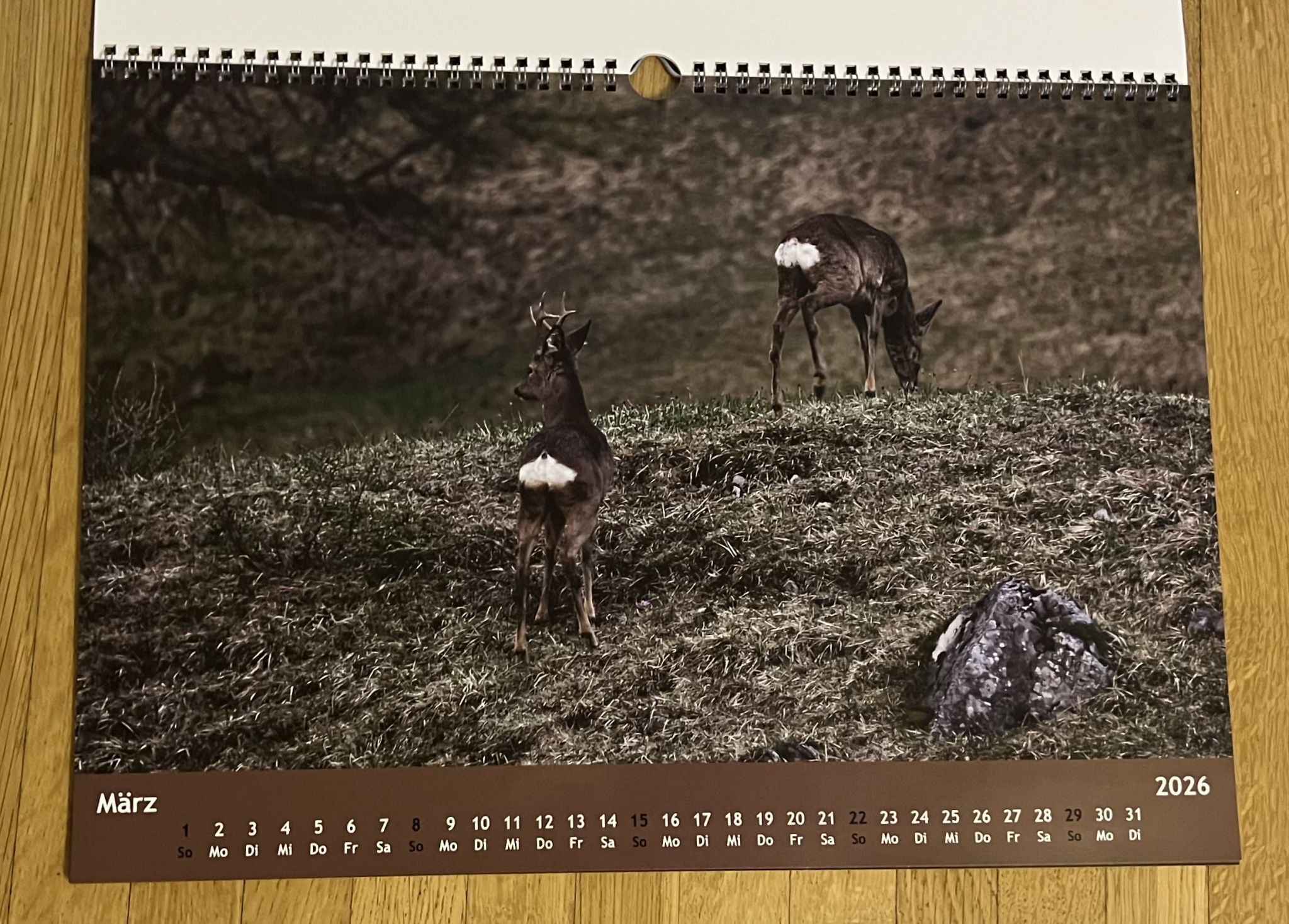 Bei vielen hängen die Bilder länger als ein Jahr.