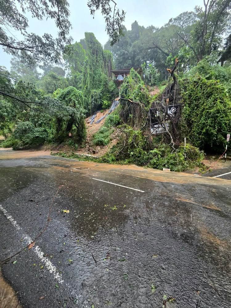 Lustenauer Familie hilft Sri Lanka nach Zyklon