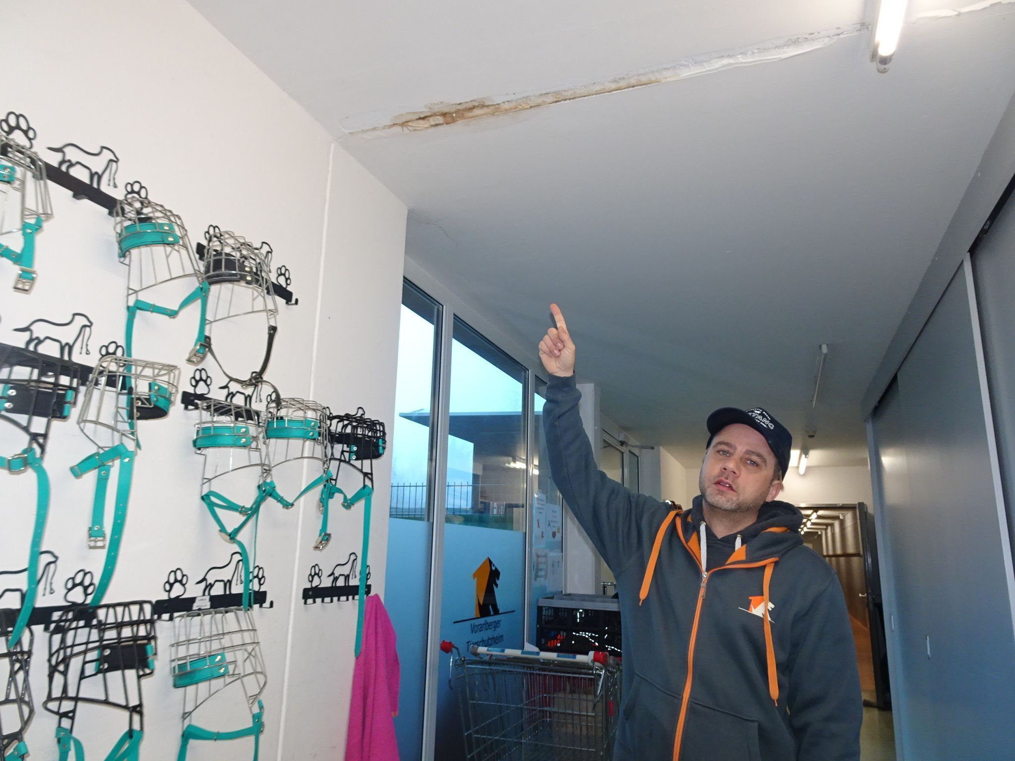 Tierpflegeleiter Marco Milohnic zeigt die Wasserschäden im Tierschutzheim.