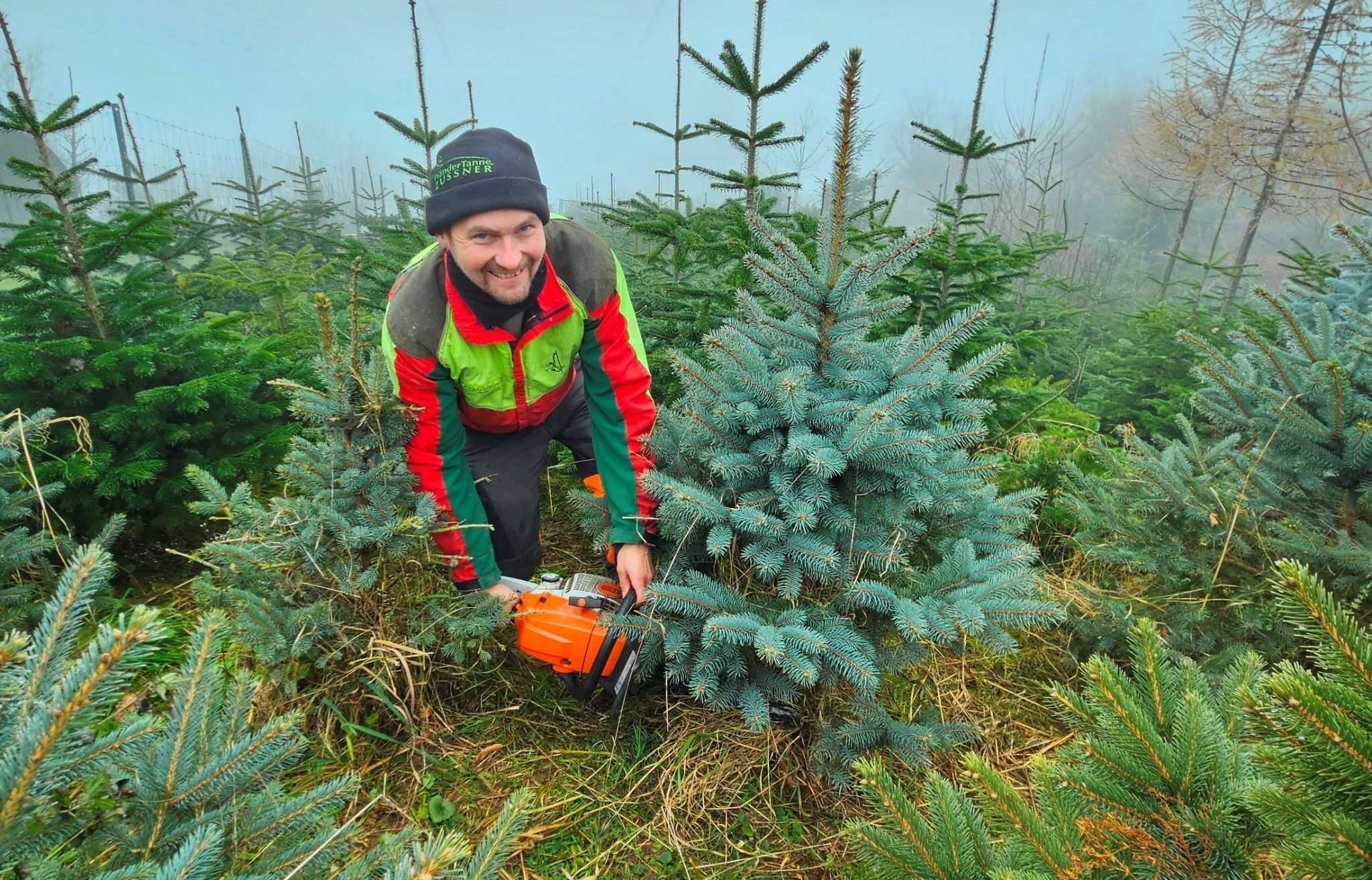 „Neben der heimischen Pfändertanne in Rot und Weiß sind besonders Nordmanntannen und Blaufichten gefragt“, erklärt Harald Zussner vom „Christbaumparadies PfänderTanne Zussner“ am Pfänder.