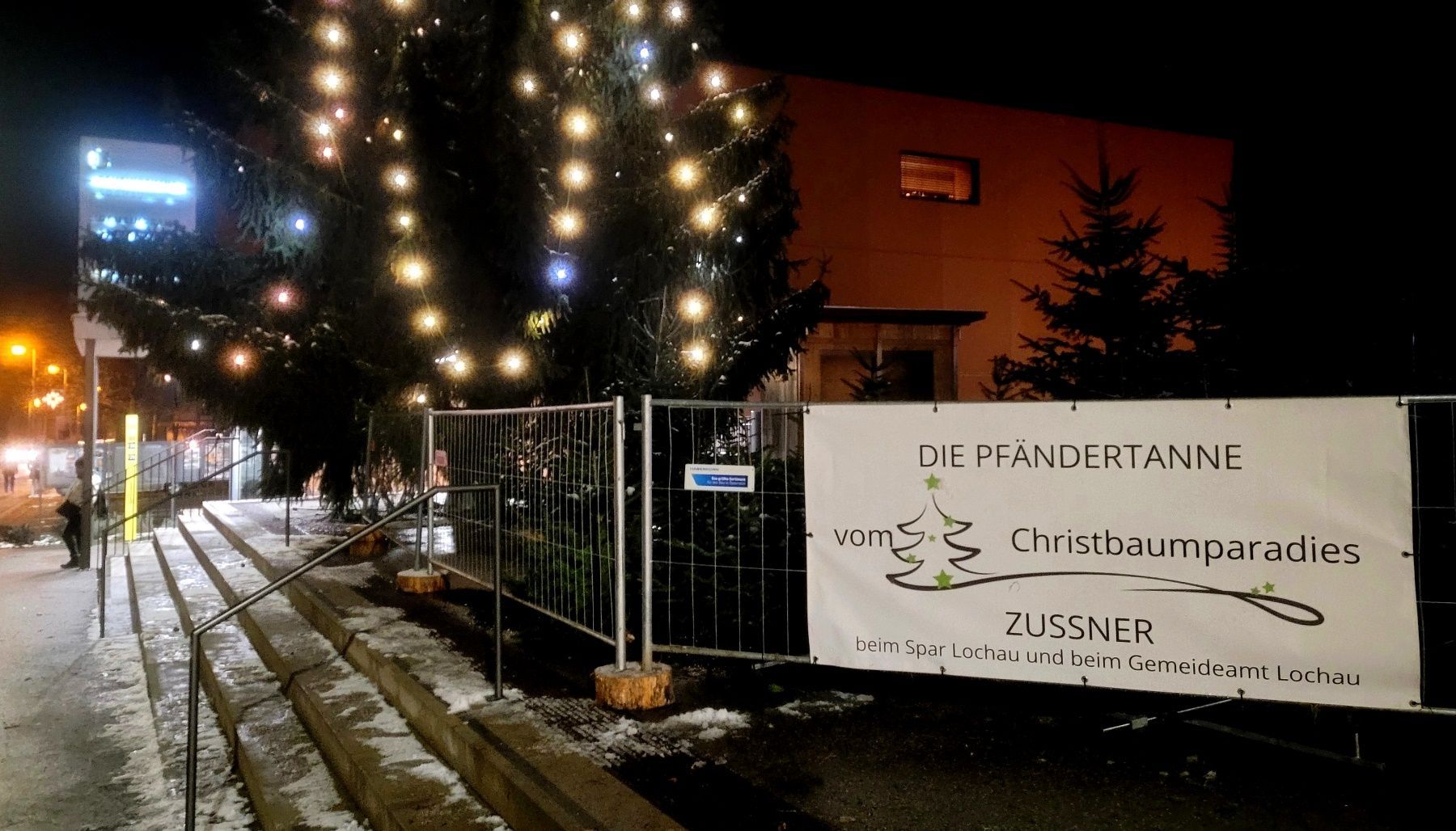 Alljährlich vor Weihnachten haben die Lochauer die Möglichkeit, sich direkt im Ort einen heimischen Baum aus dem „Christbaumparadies PfänderTanne Zussner“ zu besorgen. Für viele gehört ein Christbaum zum Weihnachtsfest einfach dazu.