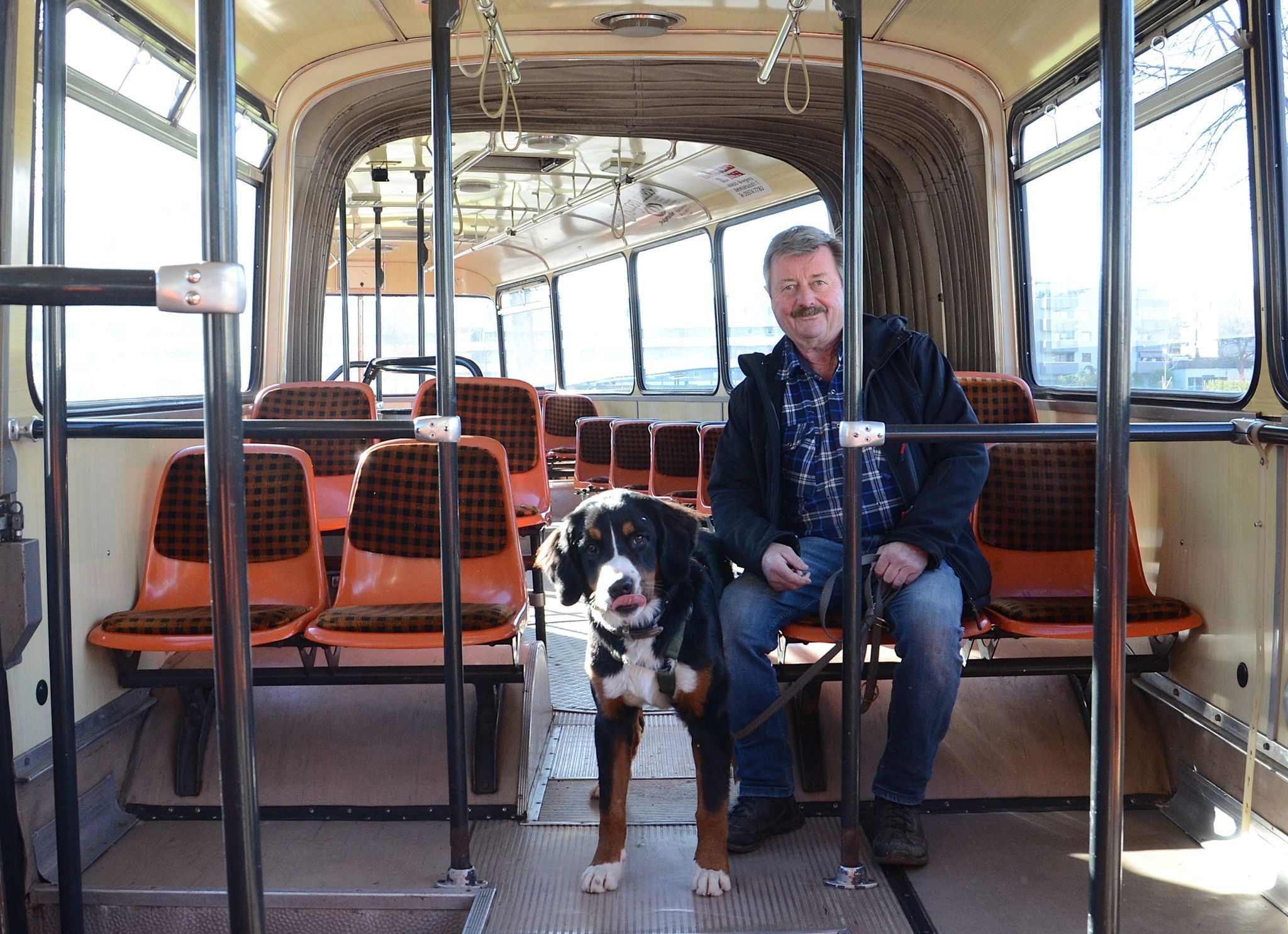 Josef Weiss hat den Ziehharmonikabus 48 Jahre lang durch Bregenz gelenkt. Sein Sennhund Arko III liebt es, im Bus mitzufahren. HRJ