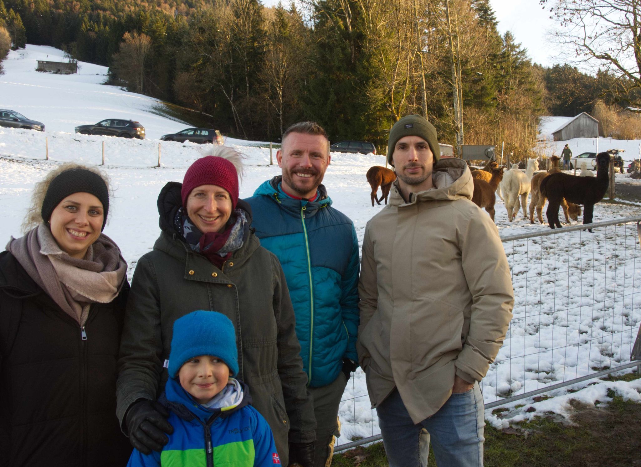 Groß und Klein waren begeistert von den Alpakas