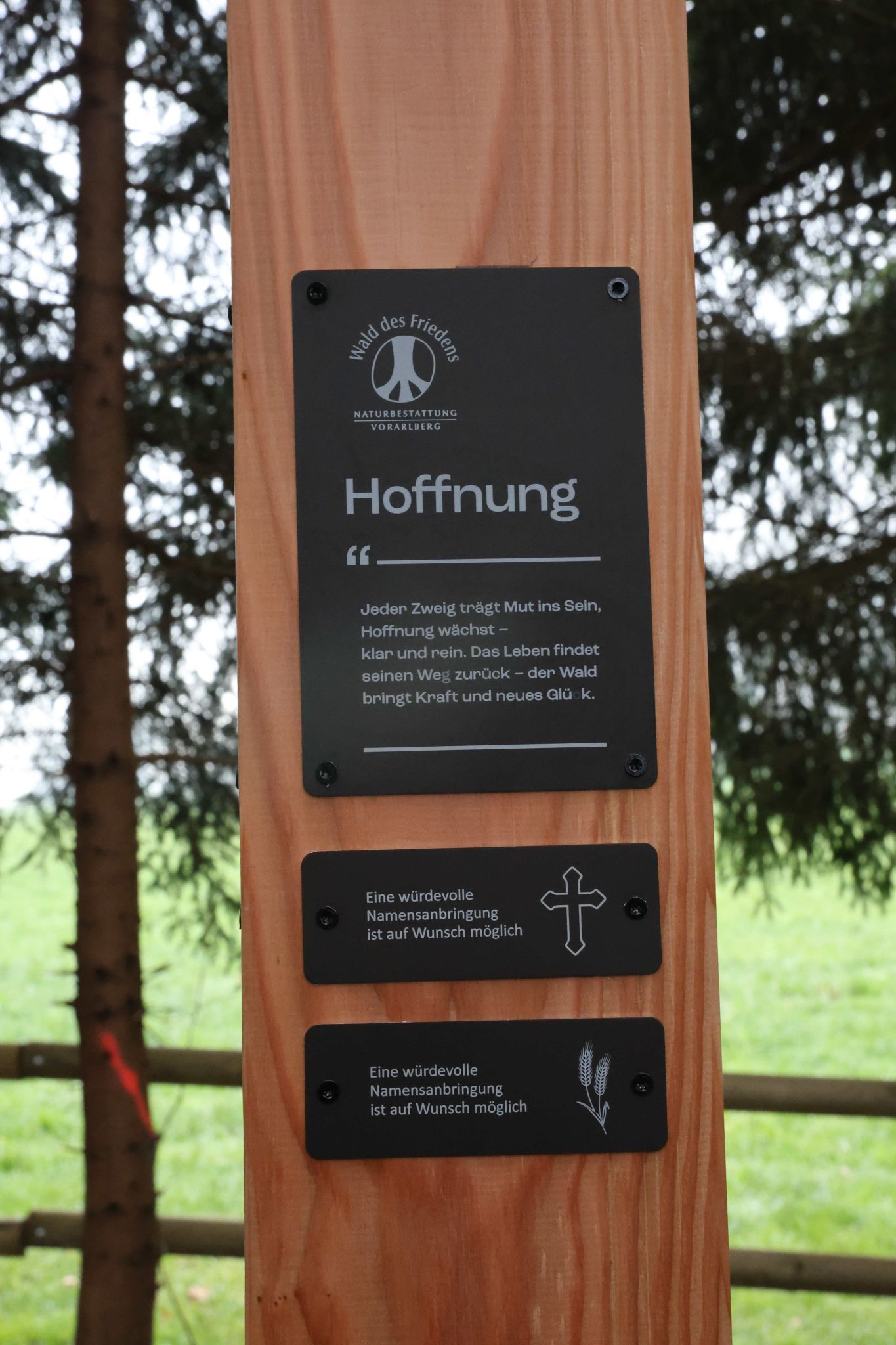 Drei Grundsätze gelten für den 