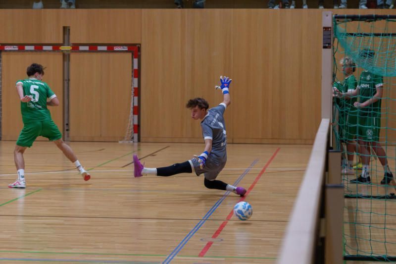 Wunderschöne Tore wurden erzielt.STIPLOVSEK