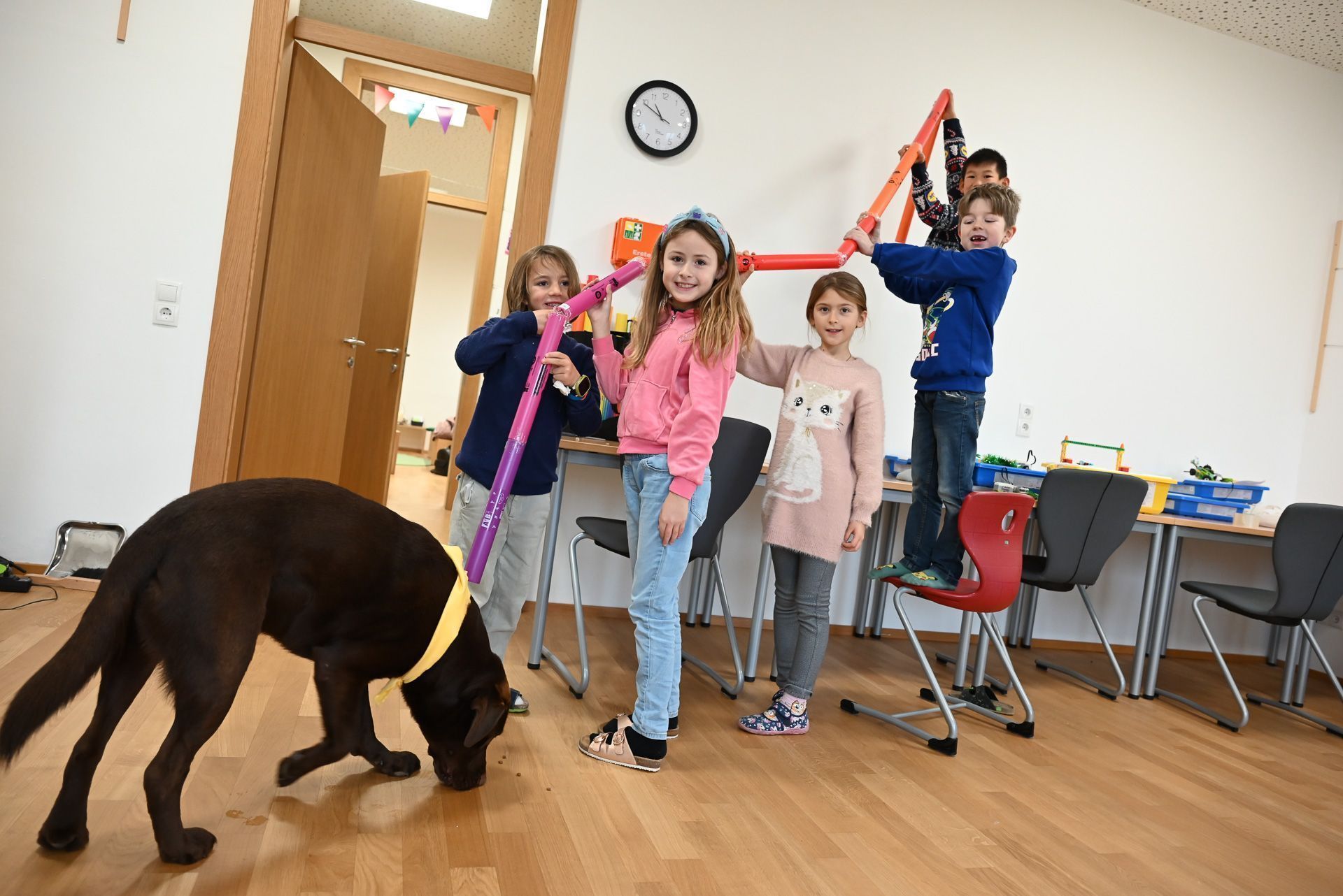 Eine Gruppe Kinder hat ein Leckerli-Rohr für ihn gebastelt.