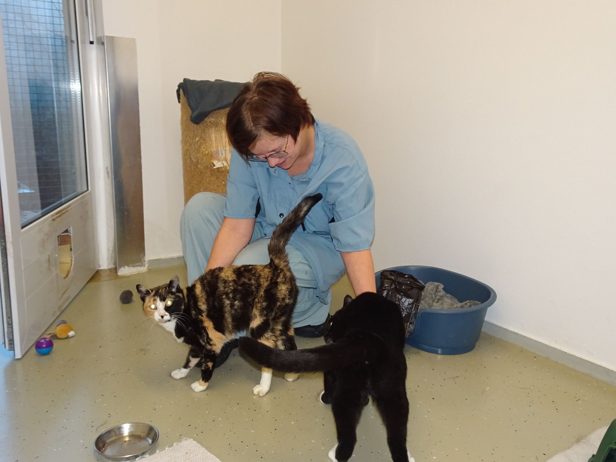 Neben der Versorgung bekommen die Tiere im Tierschutzheim täglich viel Liebe, wie hier von Michele, die ehrenamtlich regelmäßig für Kuscheleinheiten vorbeischaut. 