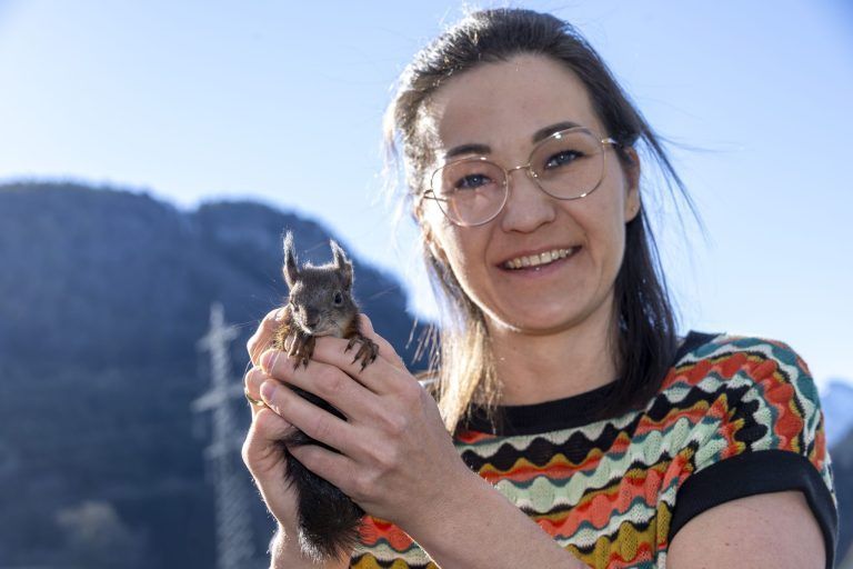 Darum wird 2026 ein gutes Jahr