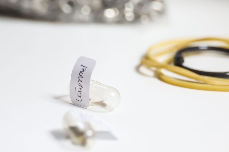 Werbegeschenke, die wachsen: Chris Brehm setzt mit "bloomie" auf Nachhaltiges