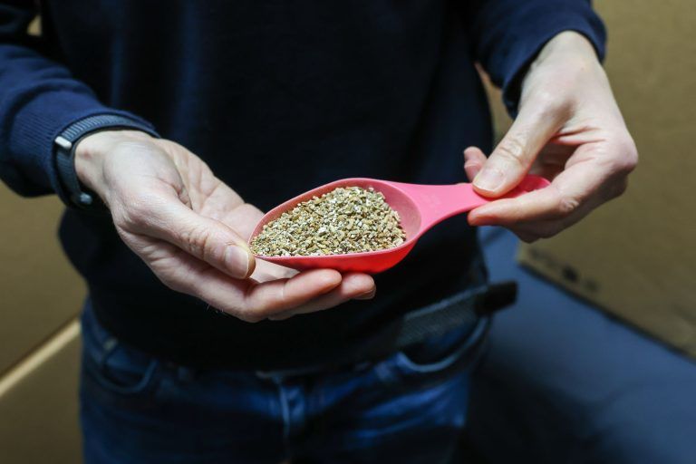 Werbegeschenke, die wachsen: Chris Brehm setzt mit "bloomie" auf Nachhaltiges