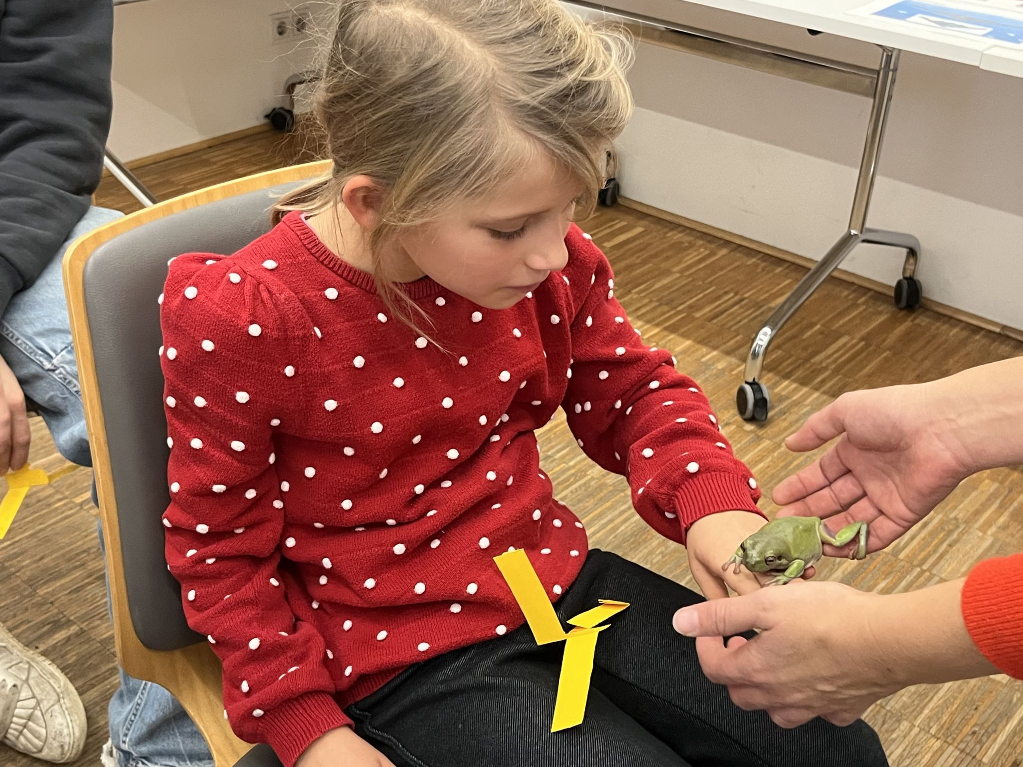 Mia wagte zaghaft eine Begegnung mit dem inatura-Frosch. 