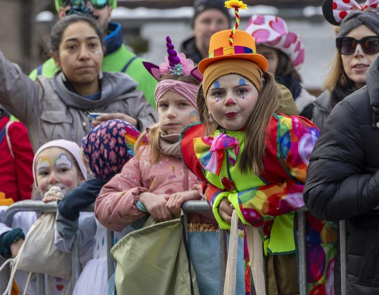 Der Landesnarrentag 2026 in Hard in Bildern
