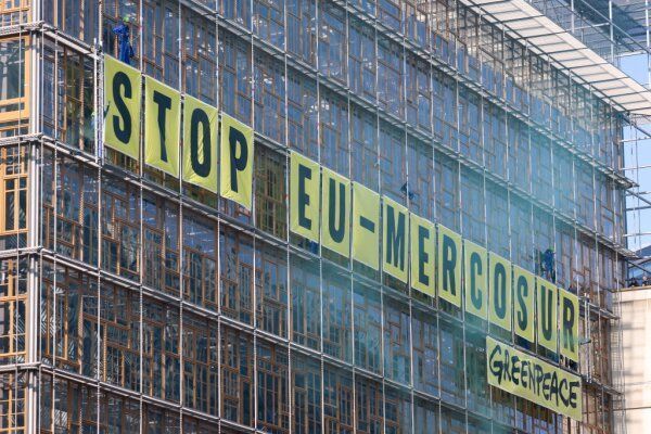 Lebensmittelhandel mit Mercosur-Ländern bisher gering