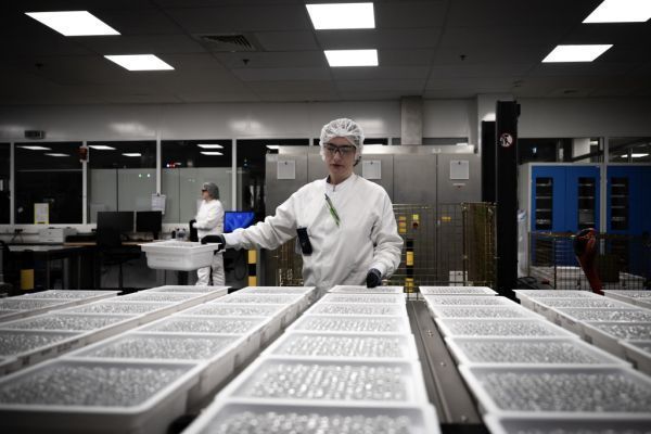 Österreich bei Pharma-Produkten stark von USA abhängig