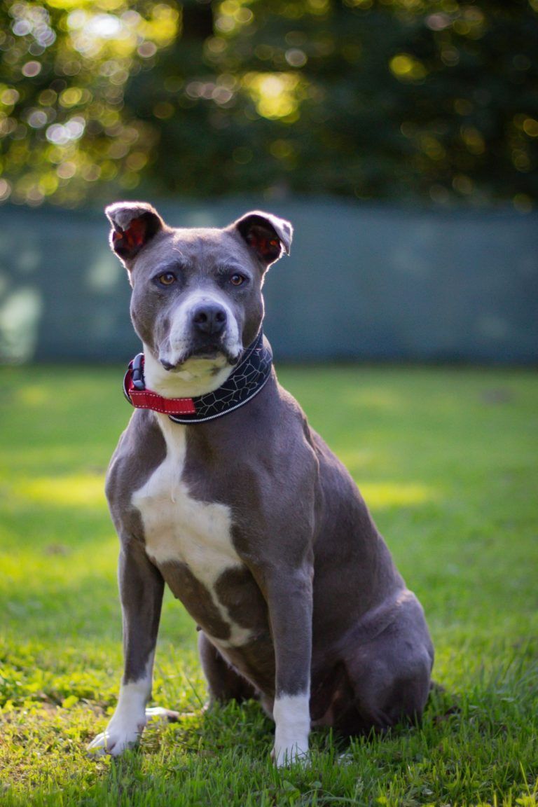 Mira hat ein großes Herz