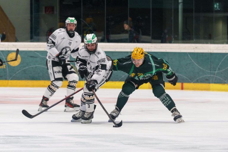 Ersatzgeschwächte Wälder bewiesen Moral