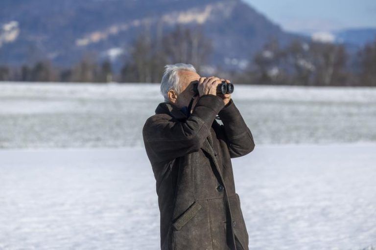 Frost, Schnee und das Leiden der Störche