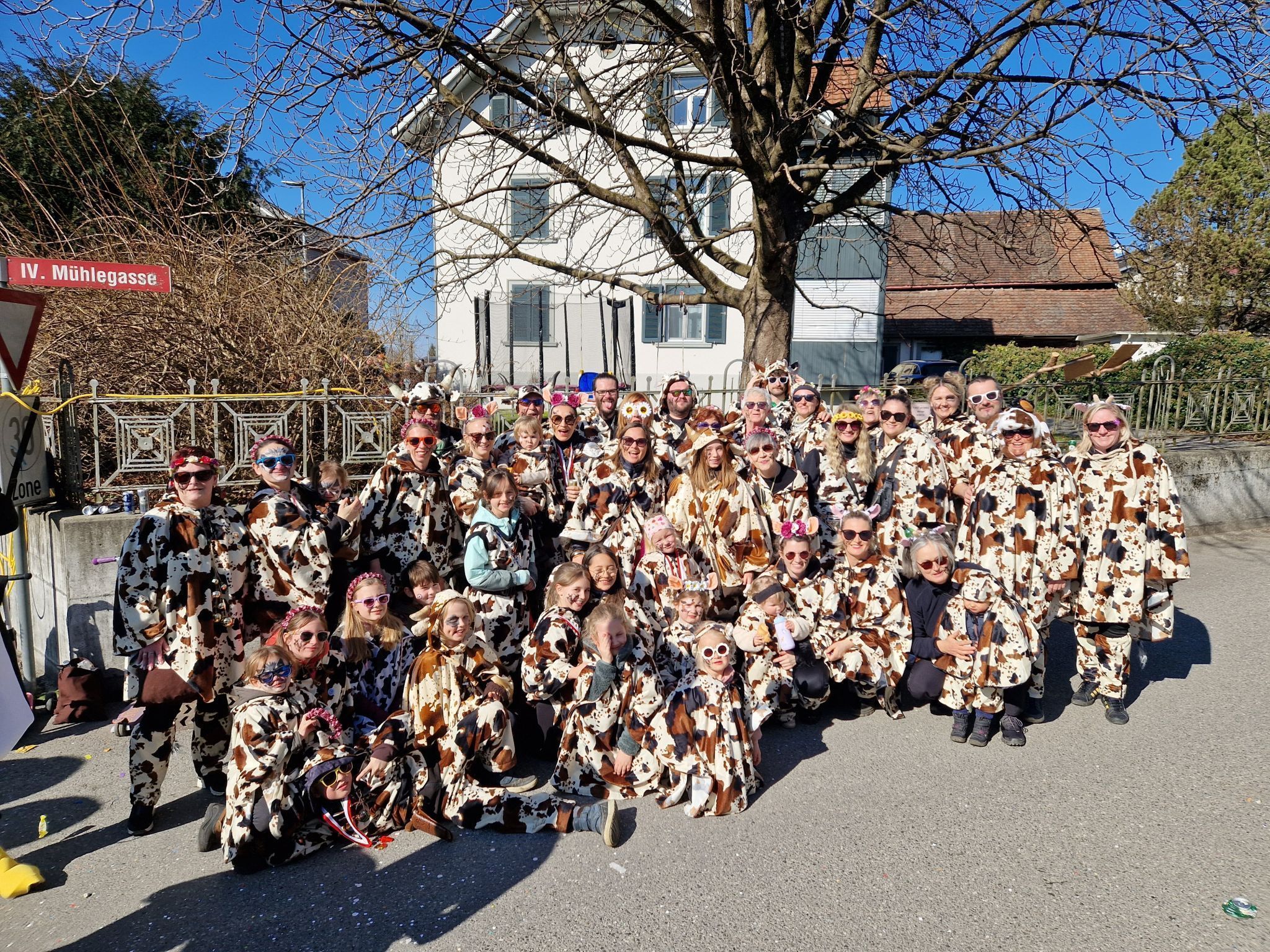 Heuer macht die älteste Zunft Dornbirns, bei der Michael Baurenhas Obmann ist, den Fasching als Kühe unsicher.