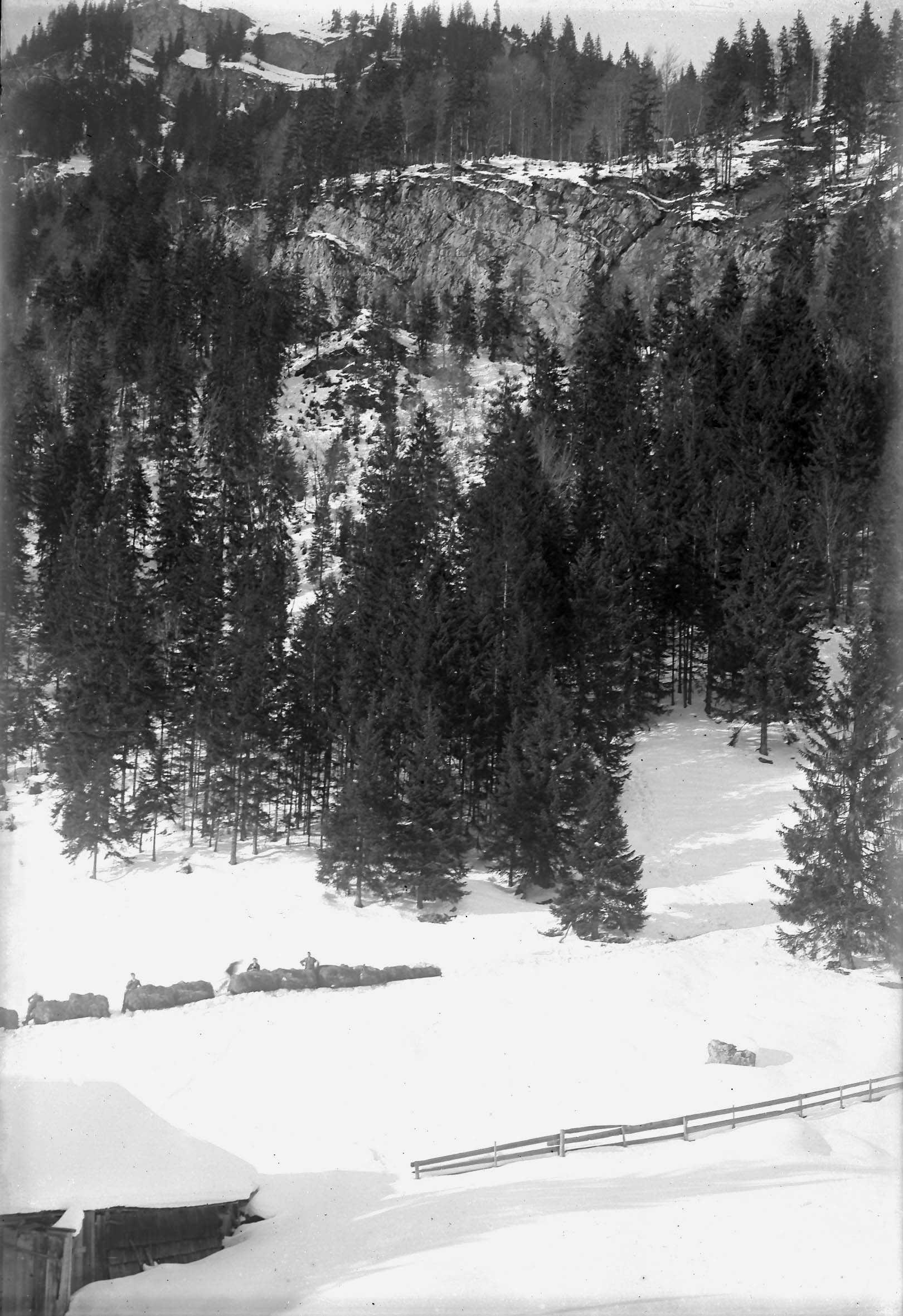 Das Wildheuen war auch im Klostertal präsent. Foto: Privat