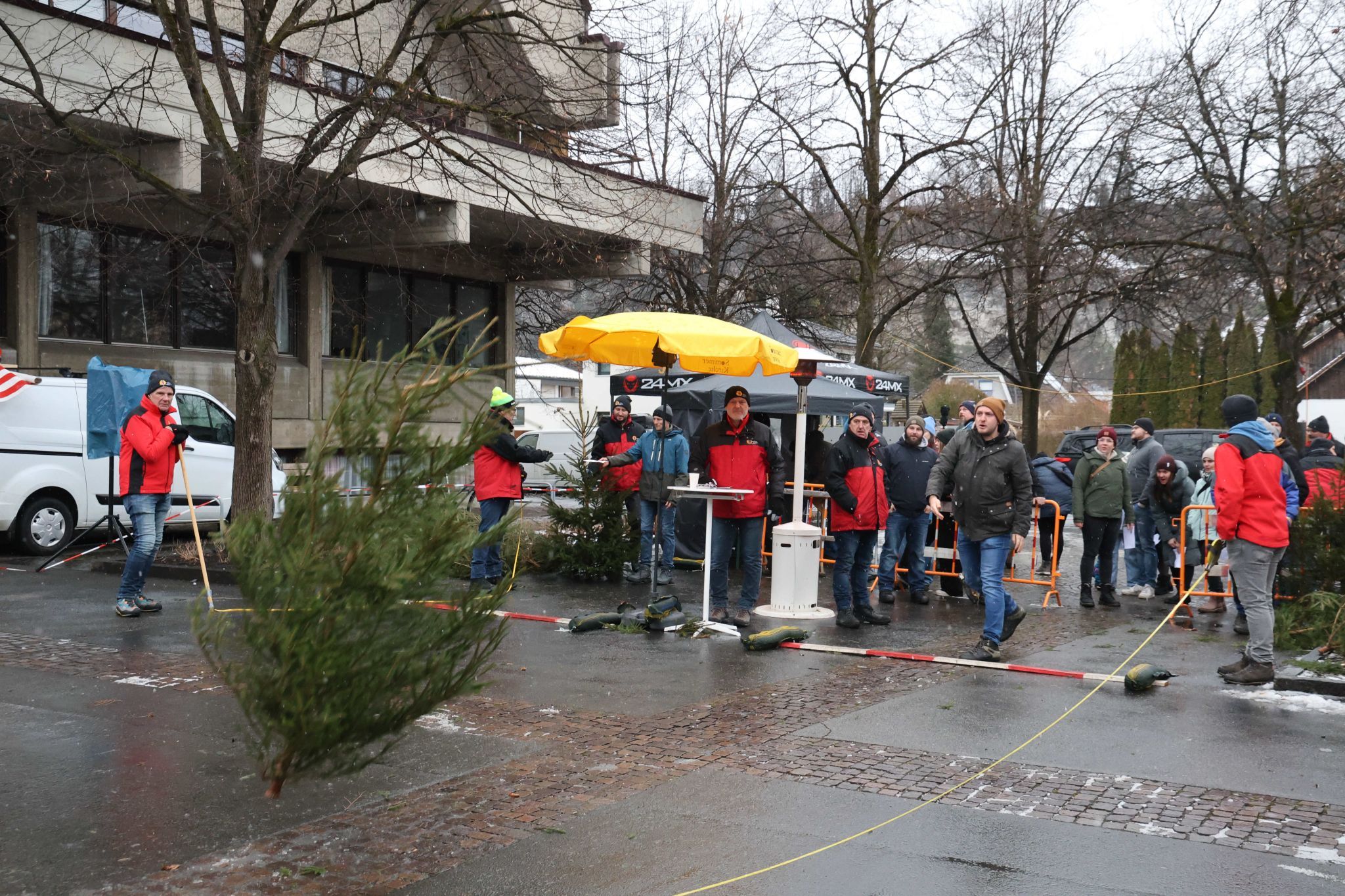 Der Wipfel ist schon geknickt.