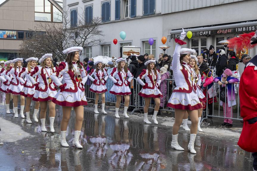 Der Landesnarrentag 2026 in Hard in Bildern
