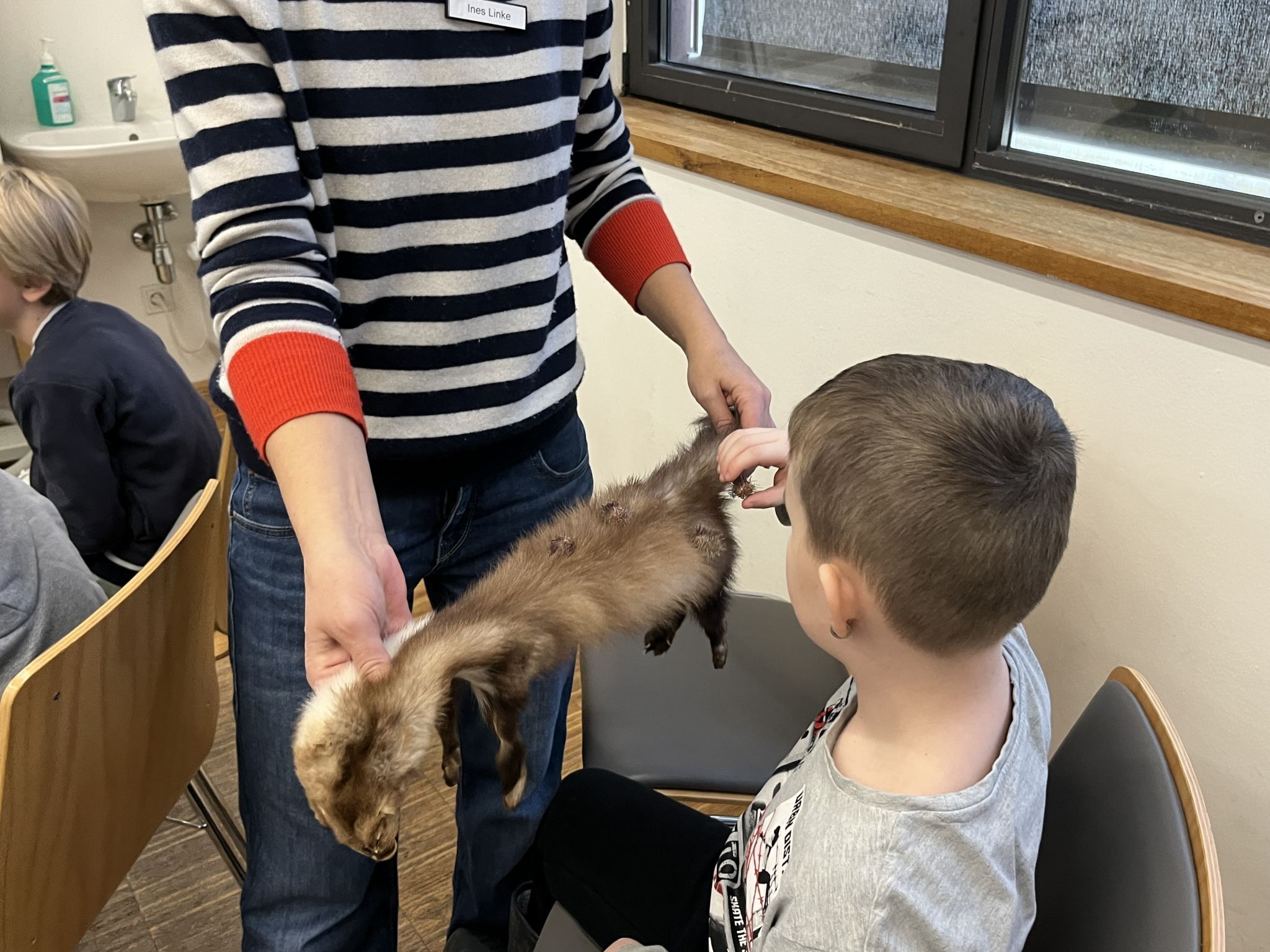 Anfassen erwünscht hieß es beim Bionik-Workshop in der inatura. 
