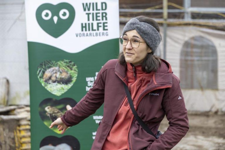 Spatenstich für Wildtierstation: "Wir hätten nicht mehr daran geglaubt"