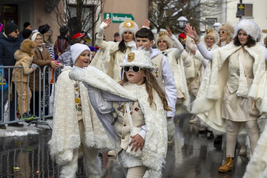 Der Landesnarrentag 2026 in Hard in Bildern