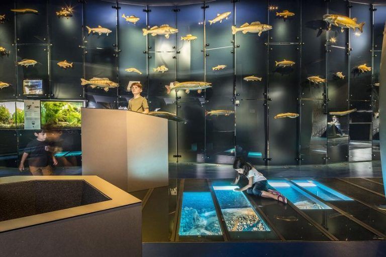 So viel gibt ein Tagesgast in Vorarlberg aus