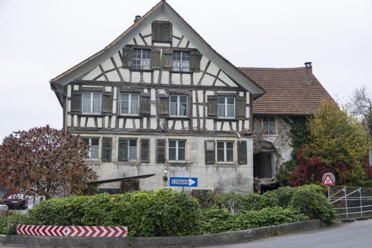 Die Tage des Bären sind gezählt: Größte Hürde bleibt der Verkehr