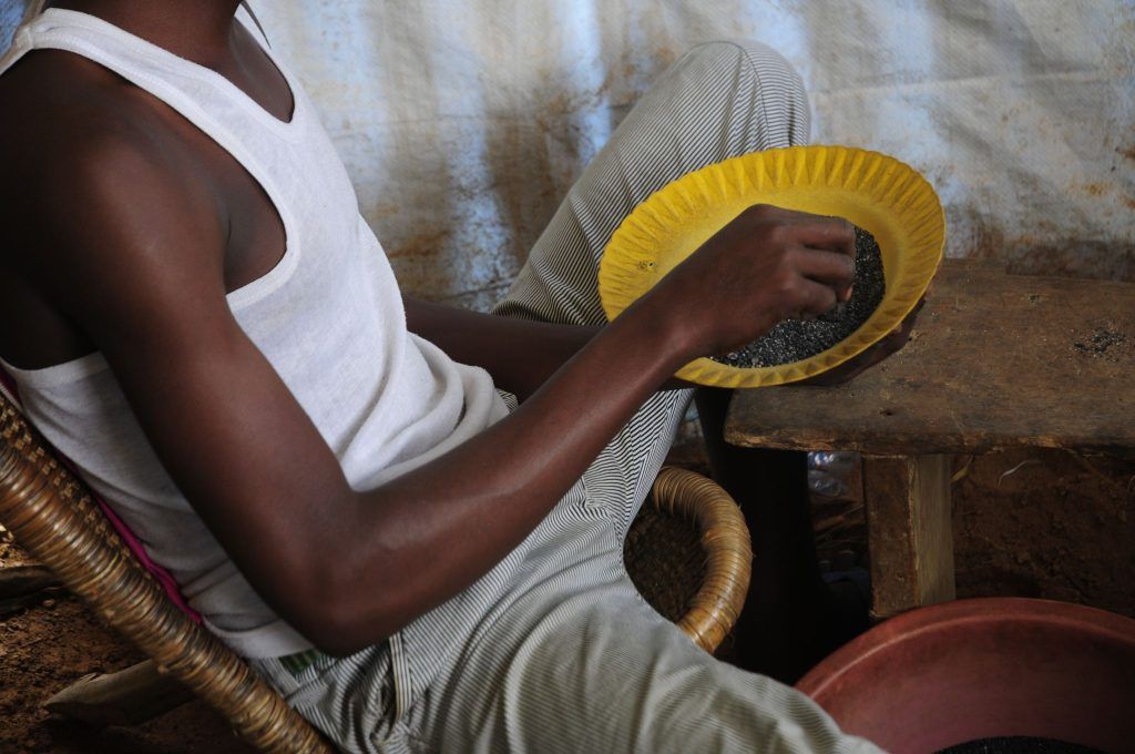 Vorarlberger beeinflussen indirekt den Konflikt in der DR Kongo