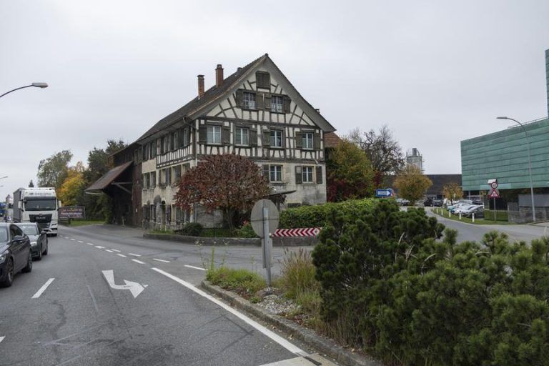 Die Tage des Bären sind gezählt: Größte Hürde bleibt der Verkehr