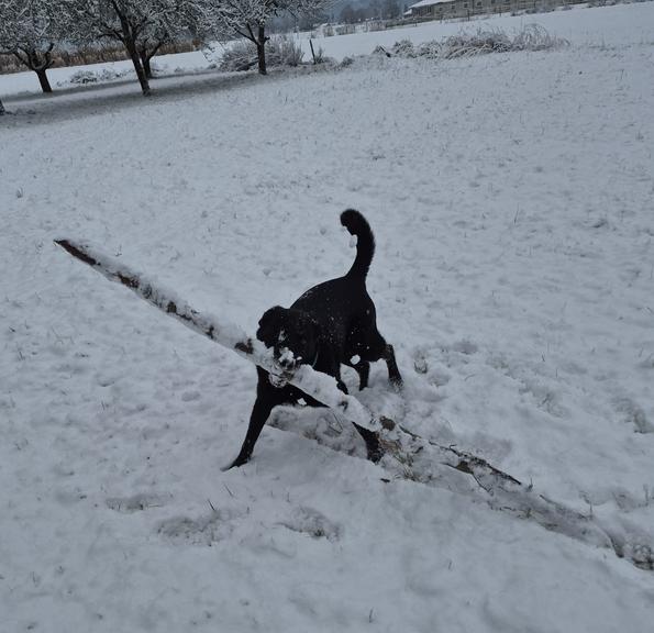 So aktiv soll Frau Holle bald in die Fußstapfen von Väterchen Frost treten