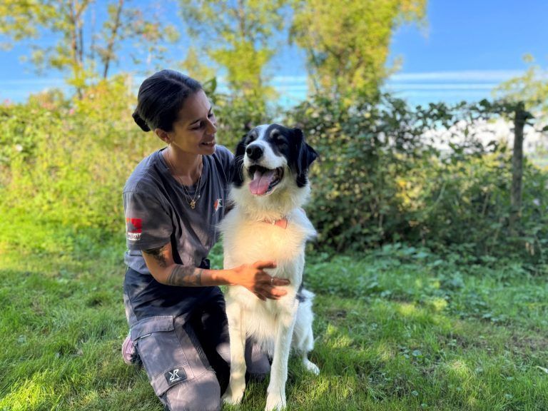 Der verschmuste Willi sehnt sich nach einem schönen Plätzchen