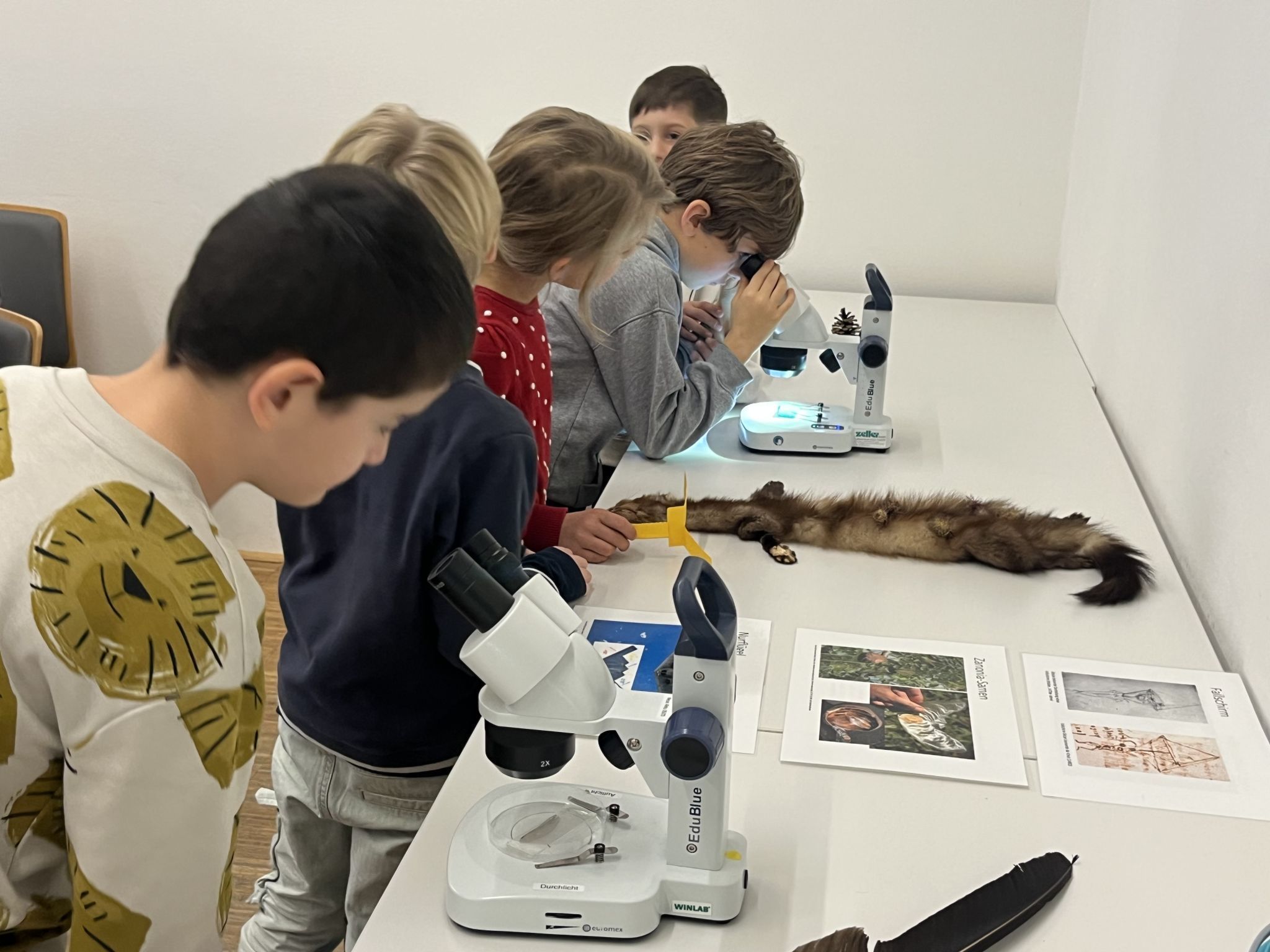 Aha-Effekte gab es am Ende unter dem Mikroskop. 