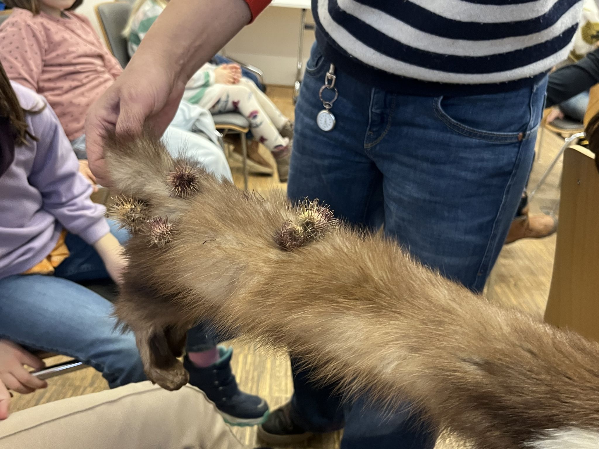 Am Fell wurde der Klettverschluss sichtbar. 