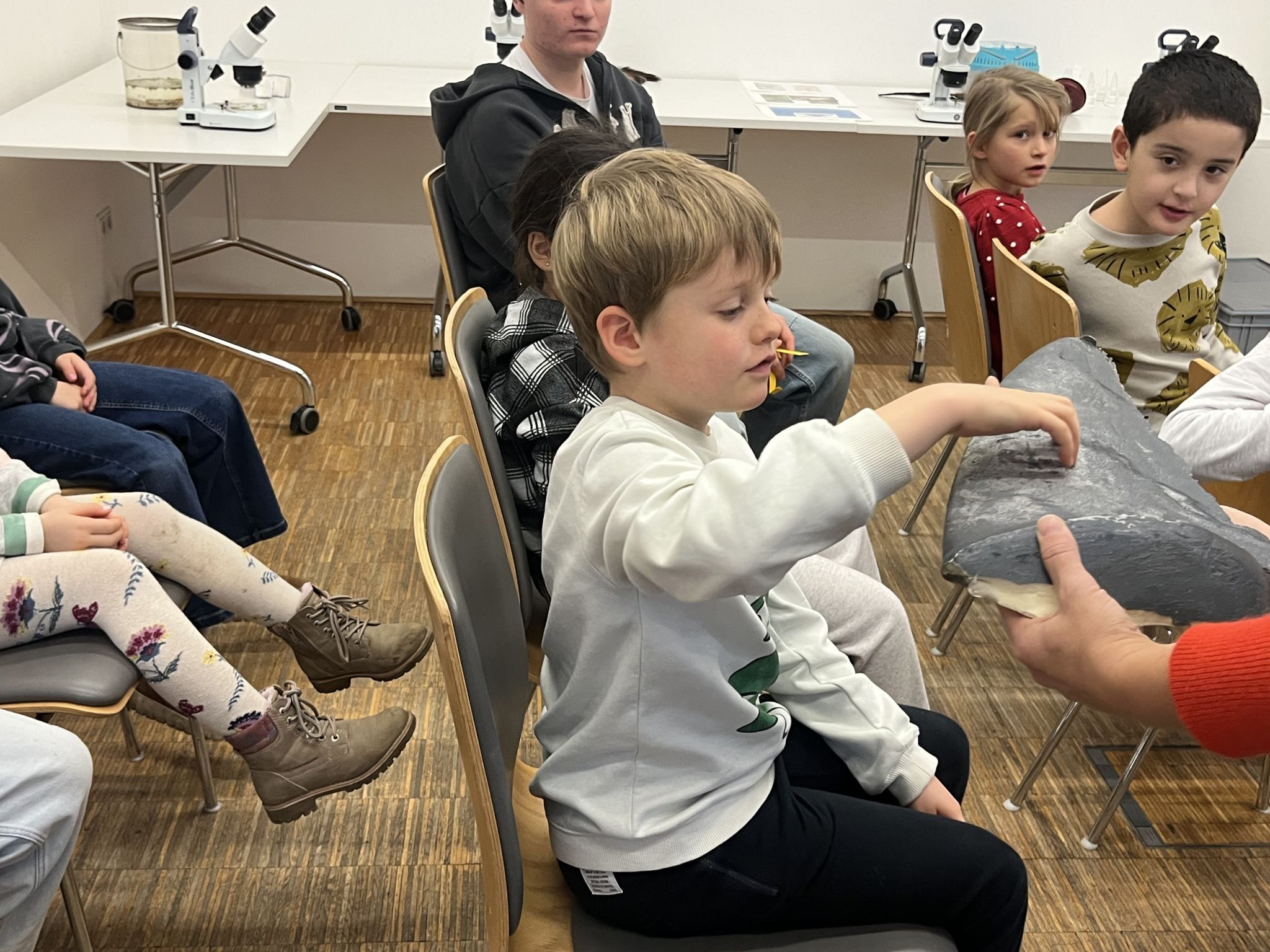 Wie fühlt sich eine Haihaut an?