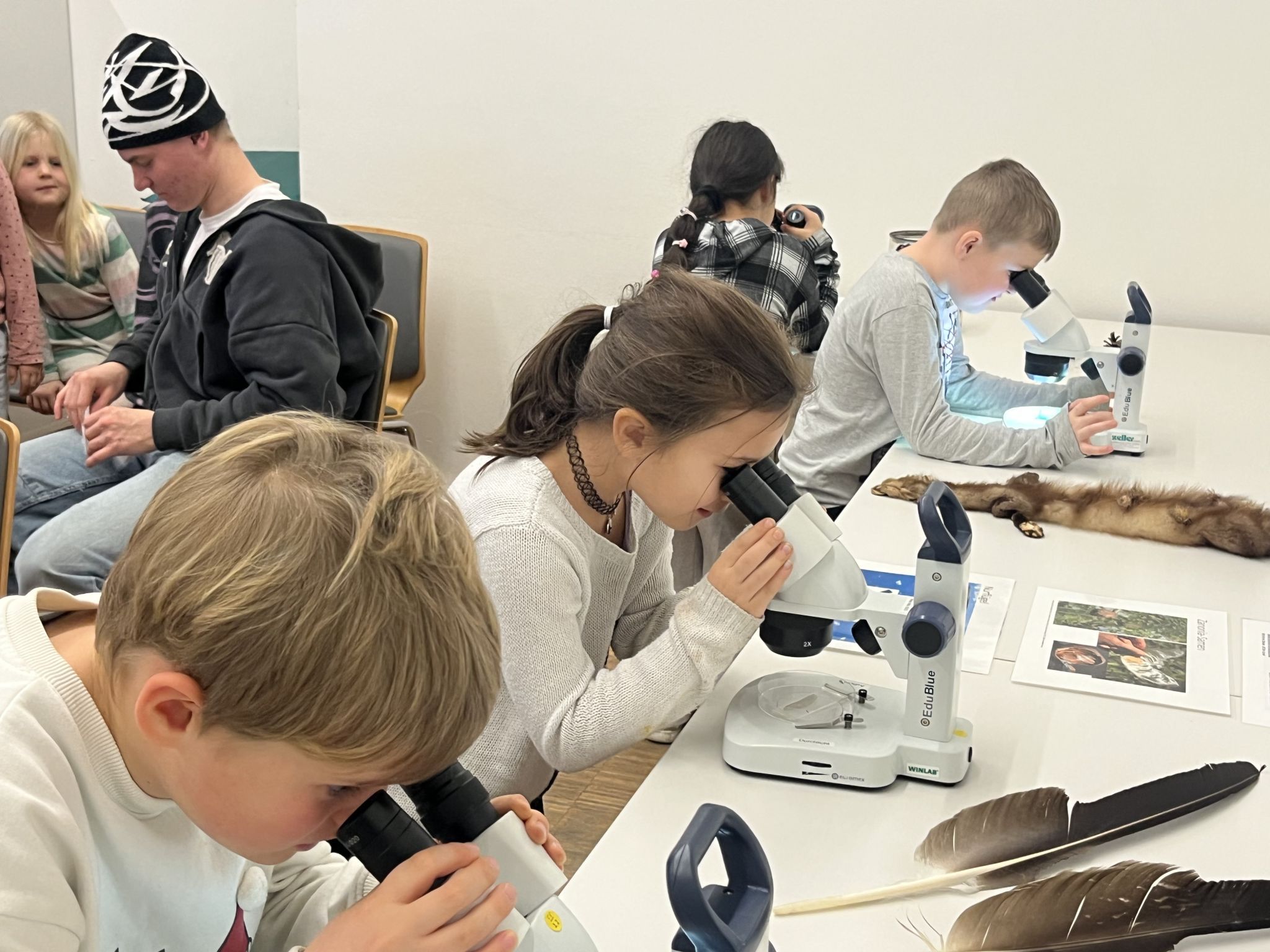 Unter dem Mikroskop  nahmen die 2a-Kinder Libellenflügel, Farn und feine Haken genau unter die Lupe. 