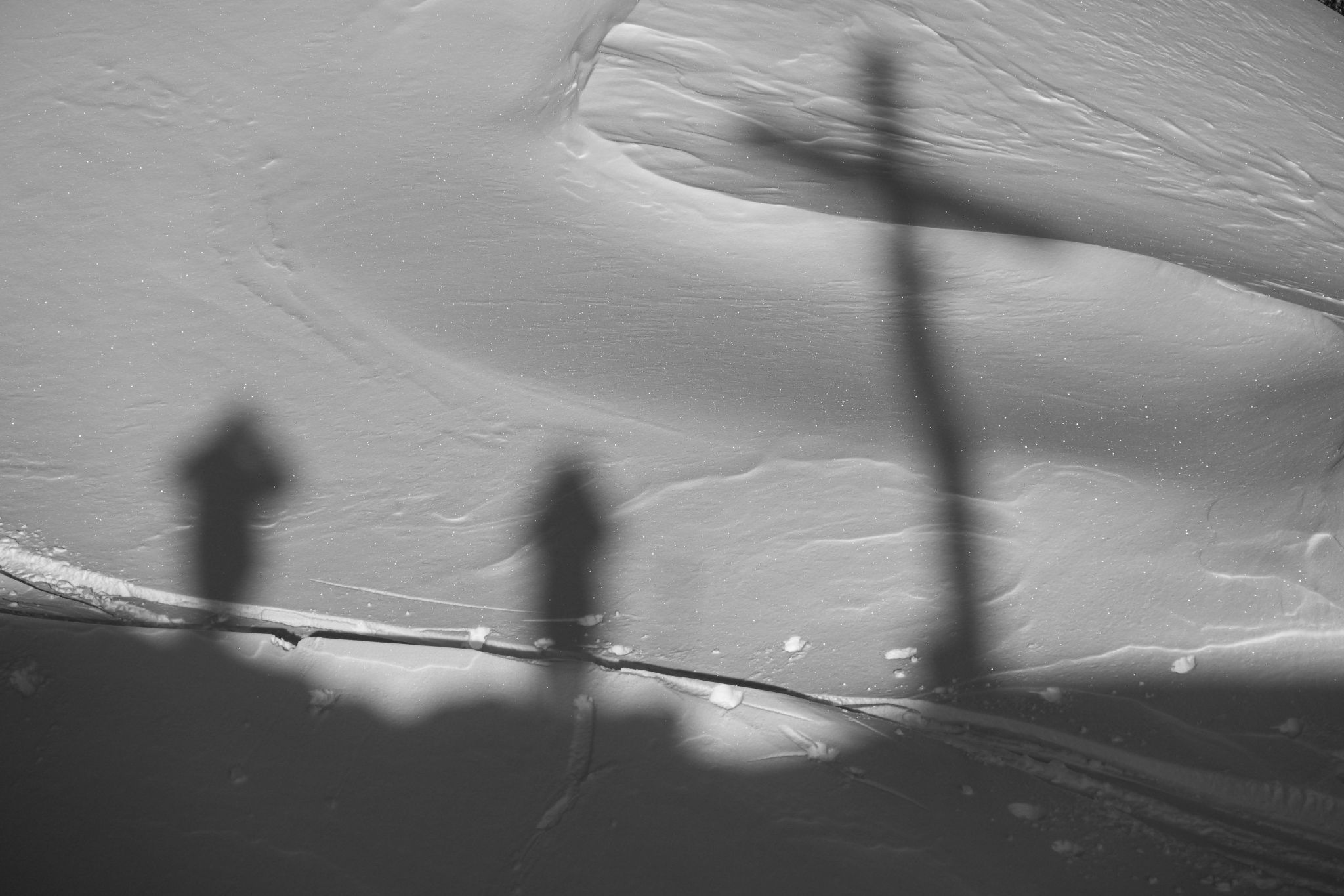 Reinold Amann (Bildergalerie)