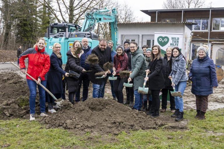 Spatenstich für Wildtierstation: "Wir hätten nicht mehr daran geglaubt"