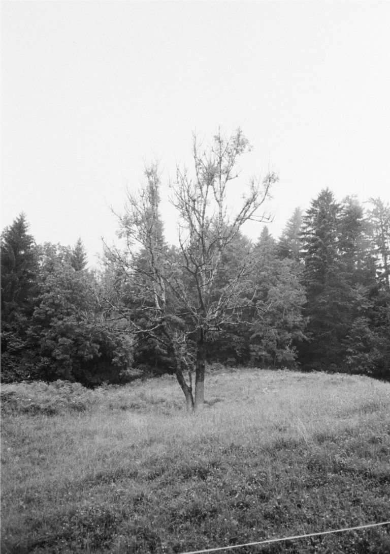 troy-Flyer Emmanuel.jpg