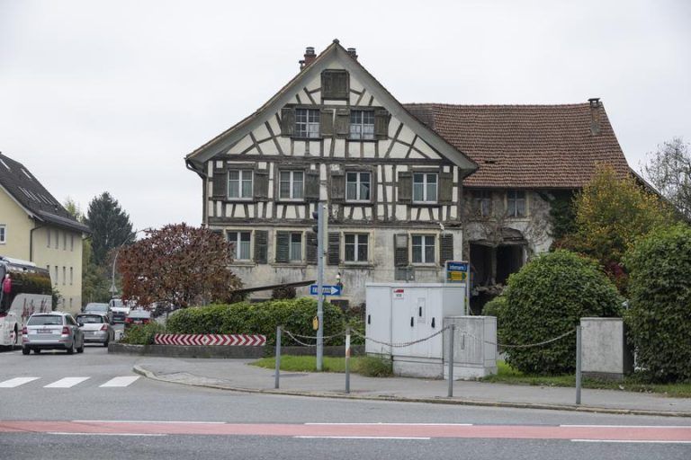 Die Tage des Bären sind gezählt: Größte Hürde bleibt der Verkehr