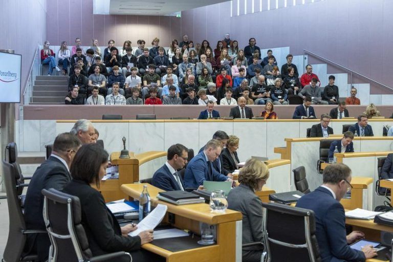 Erster Schritt zu einer ME/CFS-Versorgung in Vorarlberg – "Wir sind aber skeptisch"